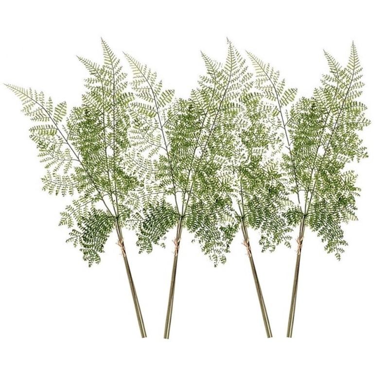 4x Groene varen-Dryopteris Remota plant nep tak 58 cm groen