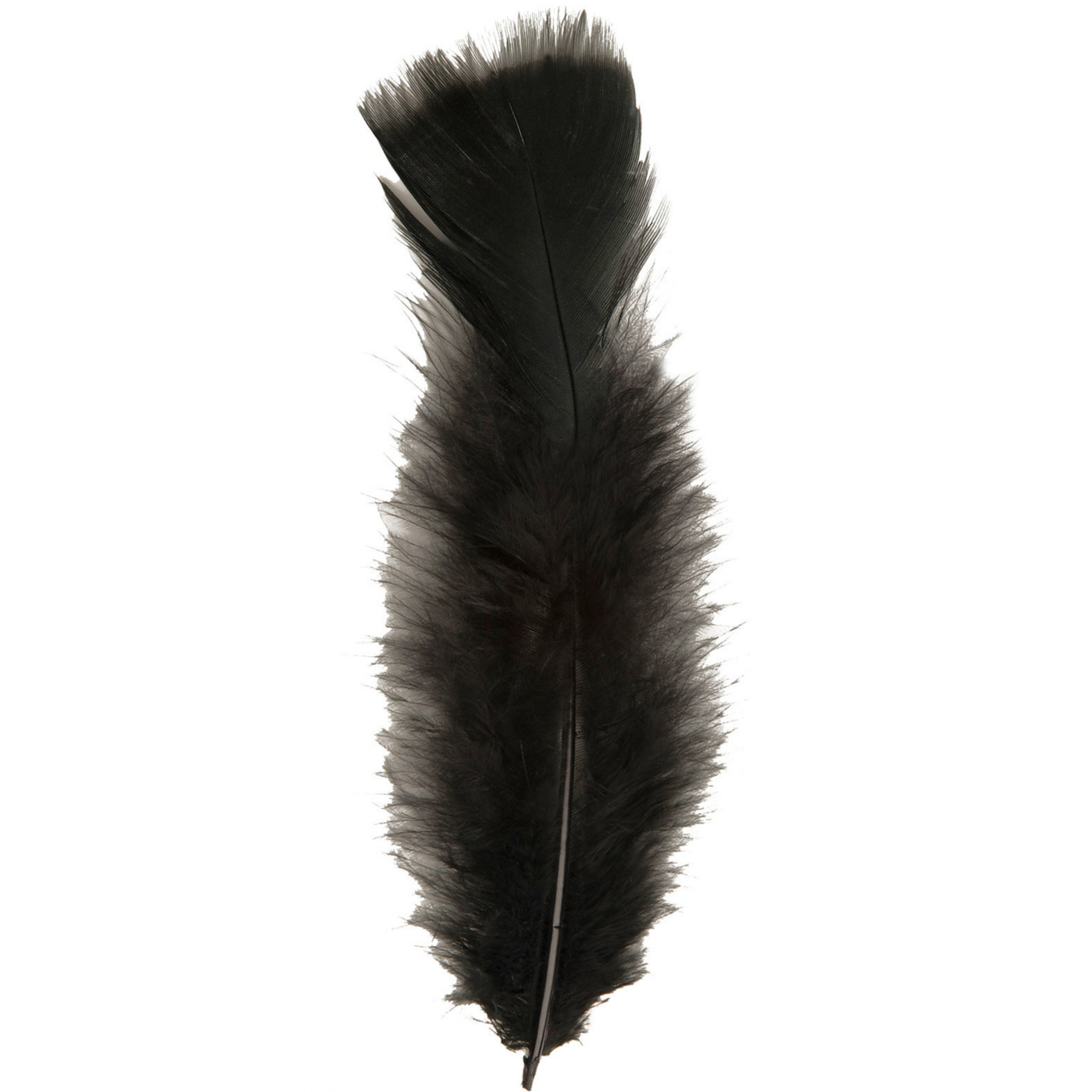 50x Zwarte veren-sierveertjes decoratie-hobbymateriaal 17 cm