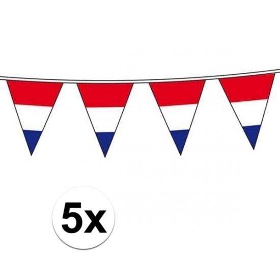 5x Vlaggenlijn Hollandse vlaggetjes