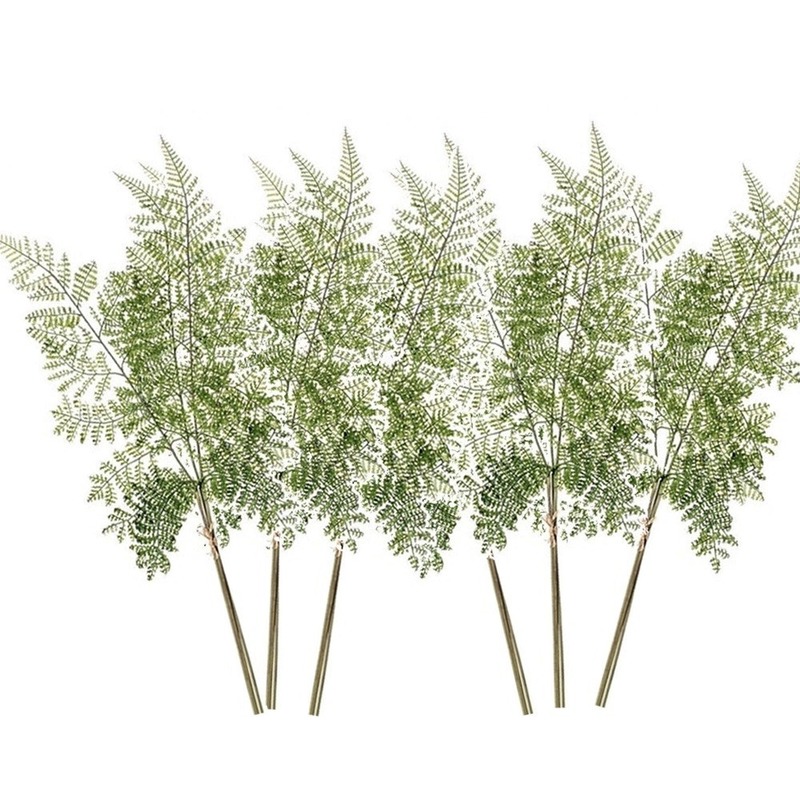 6x Groene varen-Dryopteris Remota plant nep tak 58 cm groen