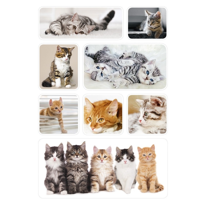 72x Poesjes-kittens stickertjes voor kinderen