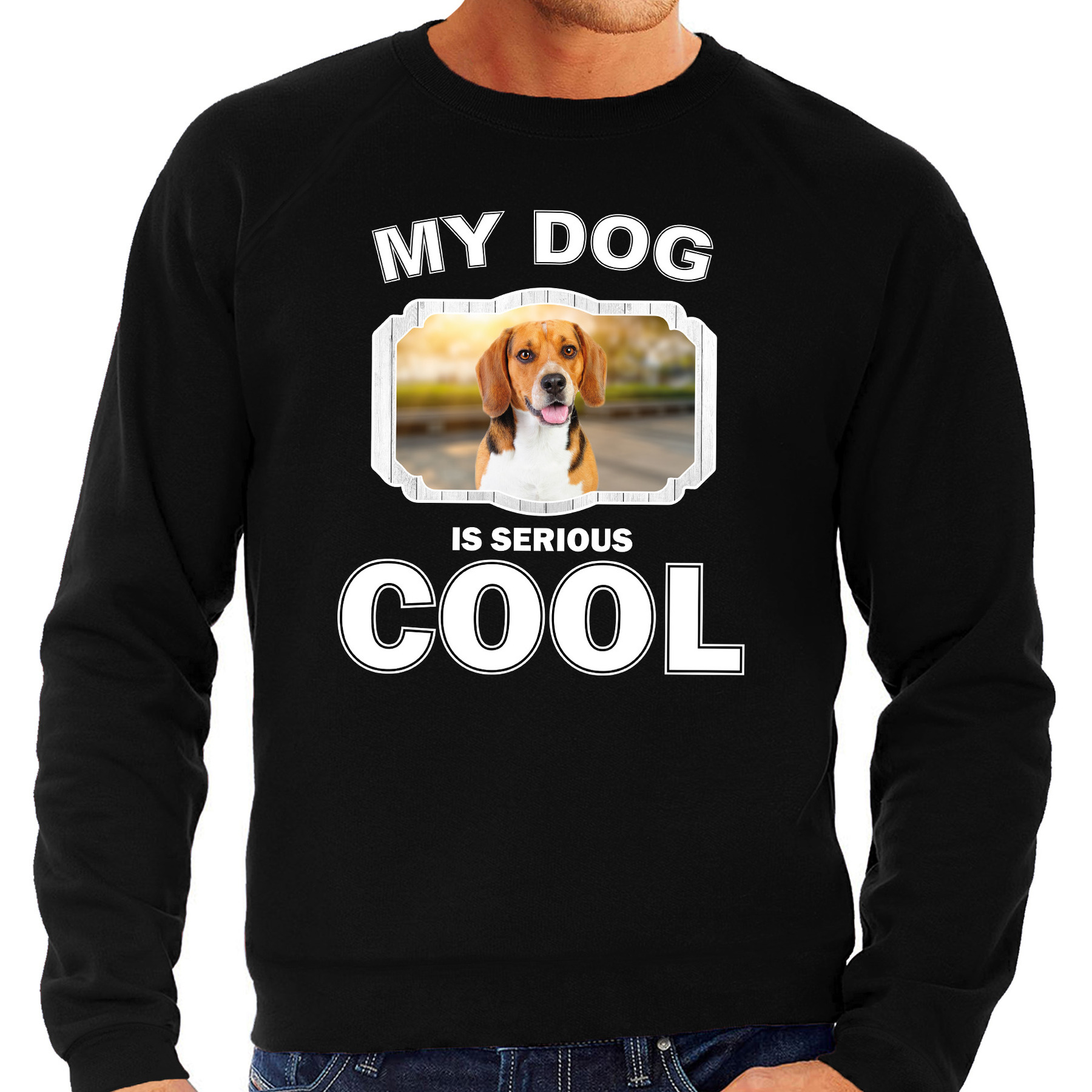 Beagle honden sweater-trui my dog is serious cool zwart voor heren