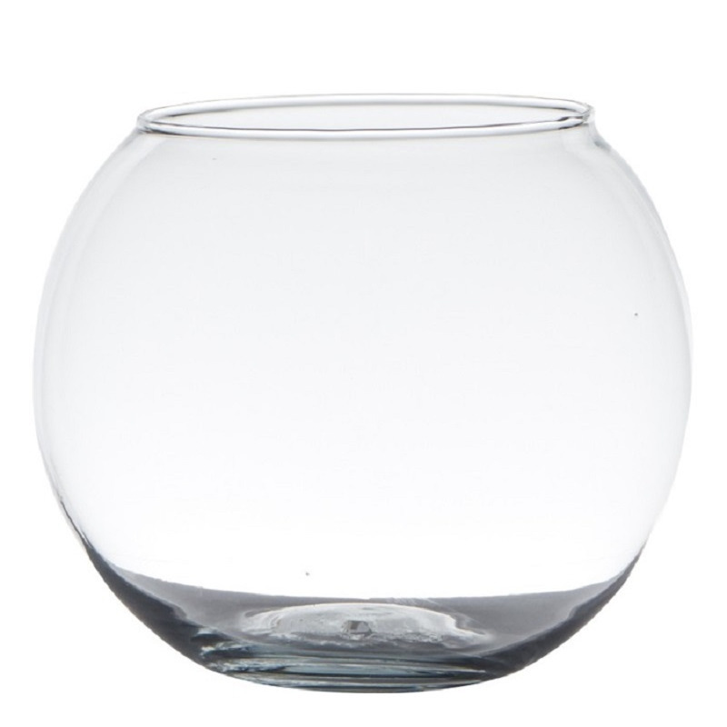 Bol vaas-terrarium vaas D20 x H15 cm glas transparant