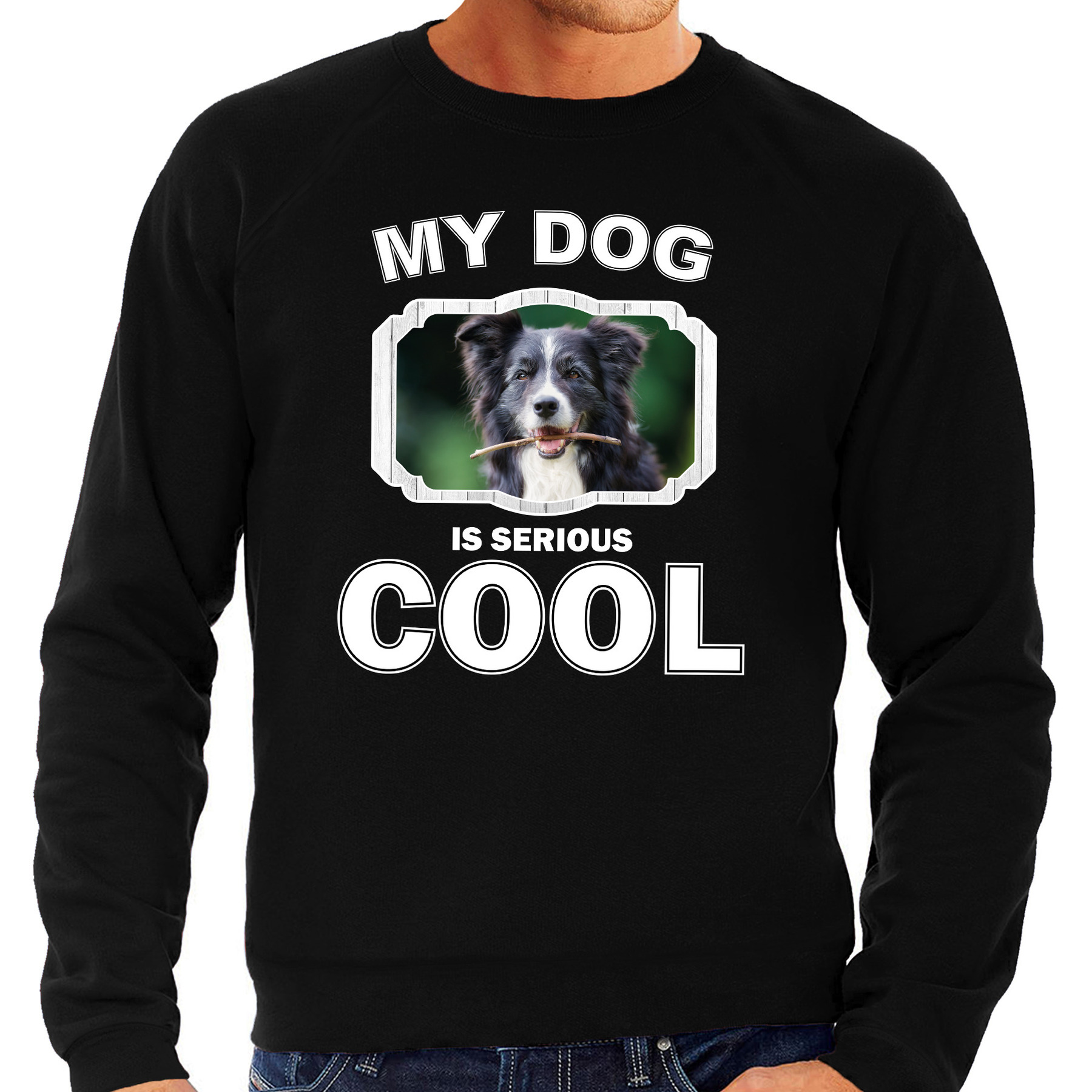 Border collie honden sweater-trui my dog is serious cool zwart voor heren