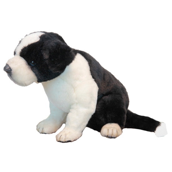 Border Collie puppie knuffel 25 cm