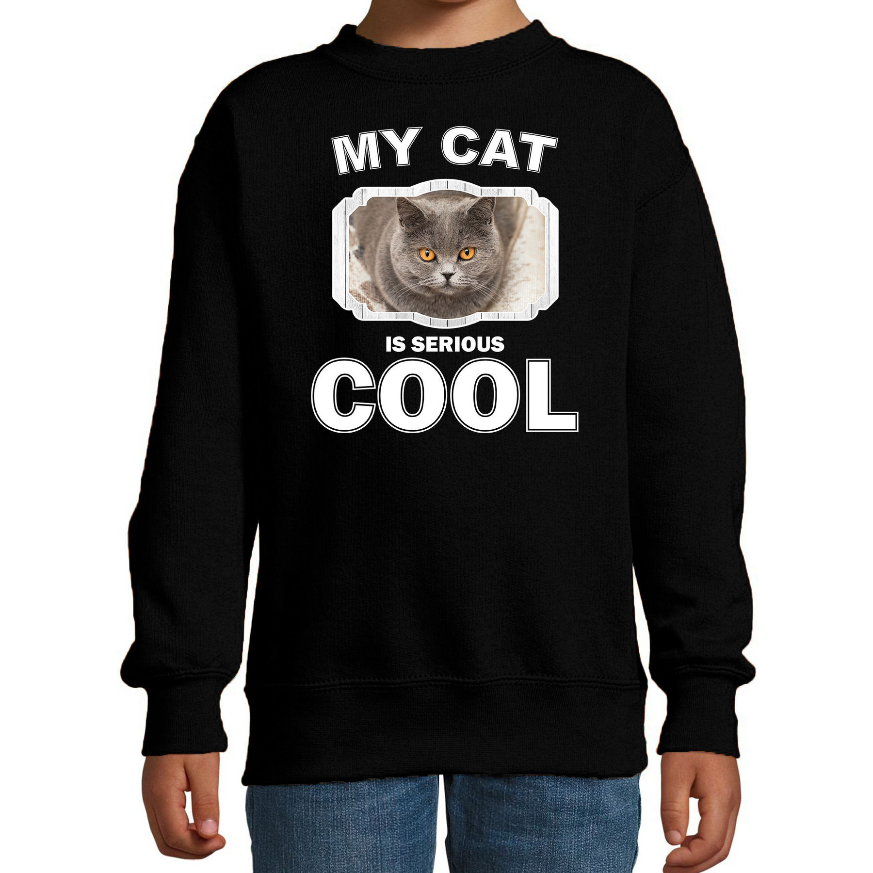 Britse korthaar katten trui-sweater my cat is serious cool zwart voor kinderen