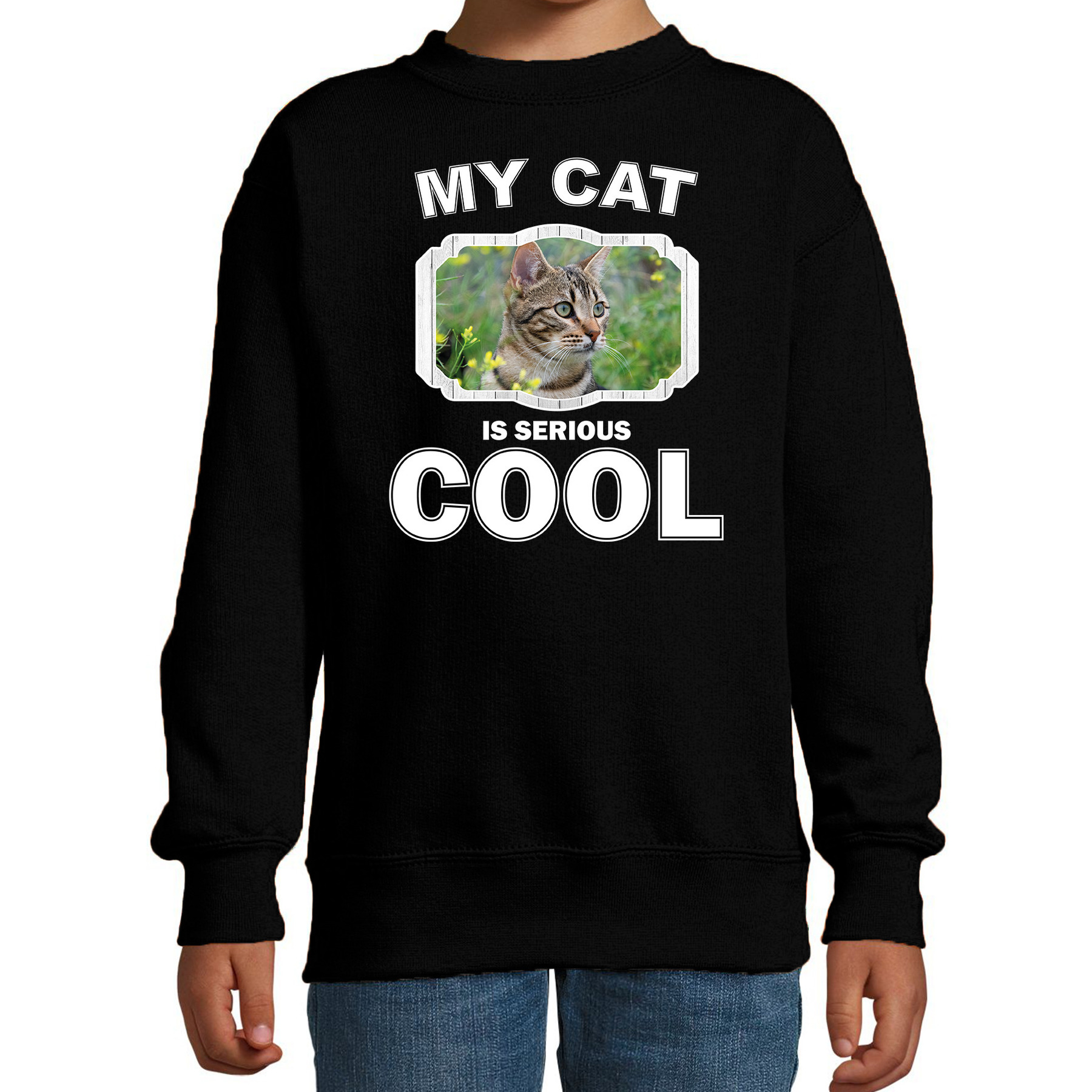 Bruine kat katten trui-sweater my cat is serious cool zwart voor kinderen