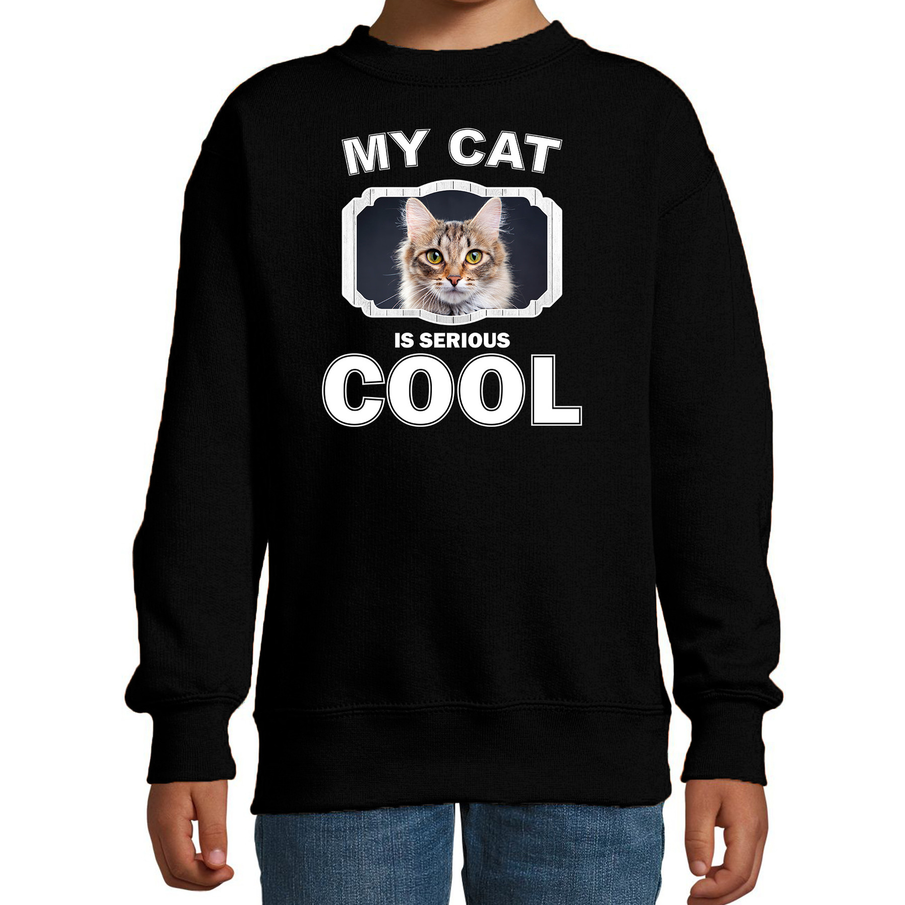 Bruine katten-poezen trui-sweater my cat is serious cool zwart voor kinderen
