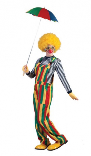 Carnaval clown tuinbroek