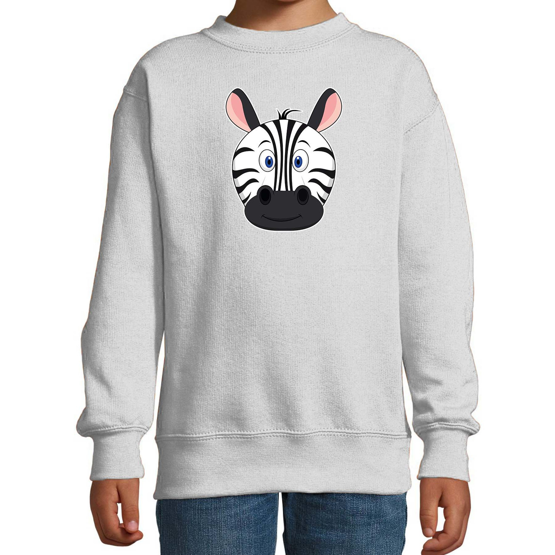 Cartoon zebra trui grijs voor jongens en meisjes Cartoon dieren sweater kinderen