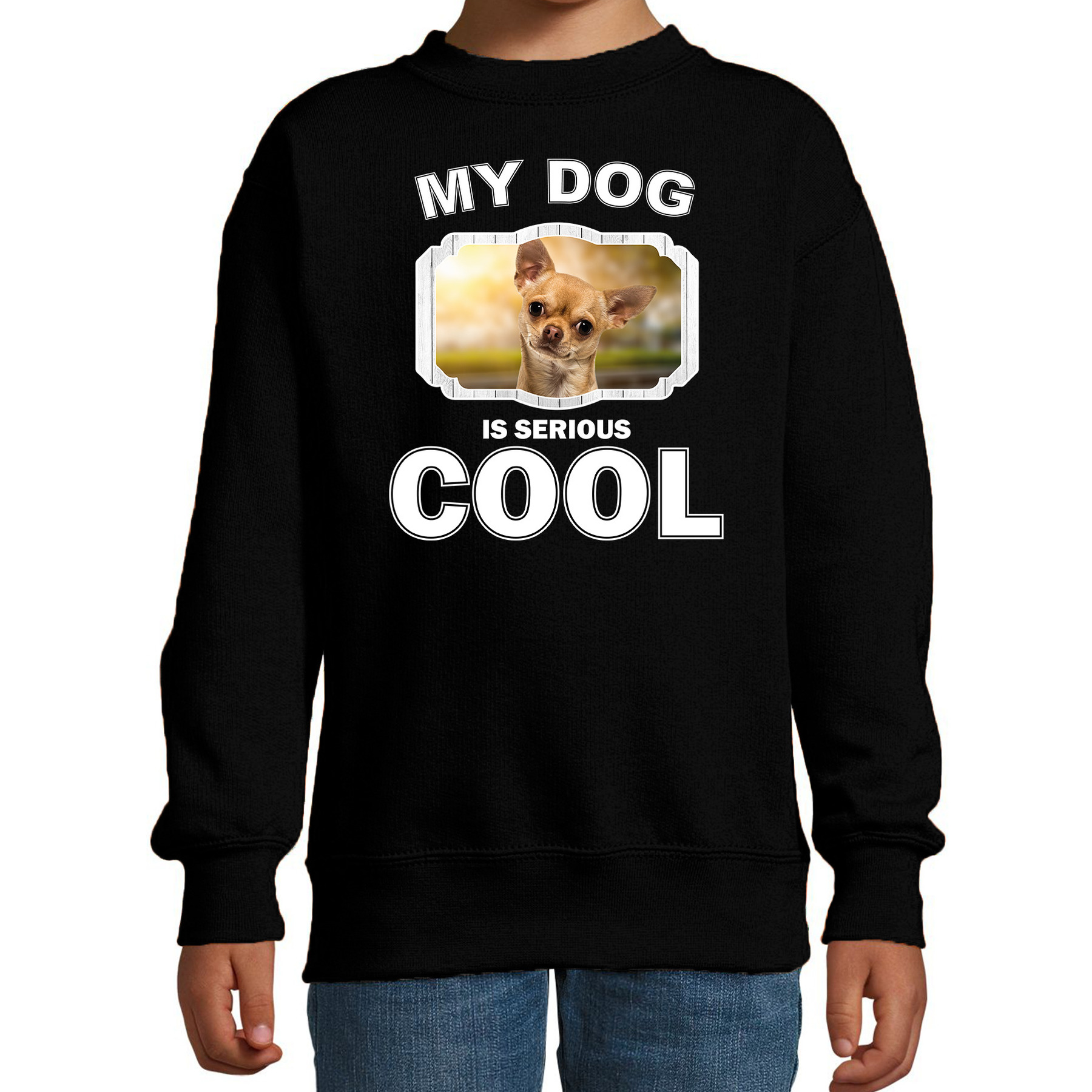 Chihuahua honden trui-sweater my dog is serious cool zwart voor kinderen