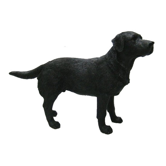 Decoratie beeld Labrador zwart 14 cm