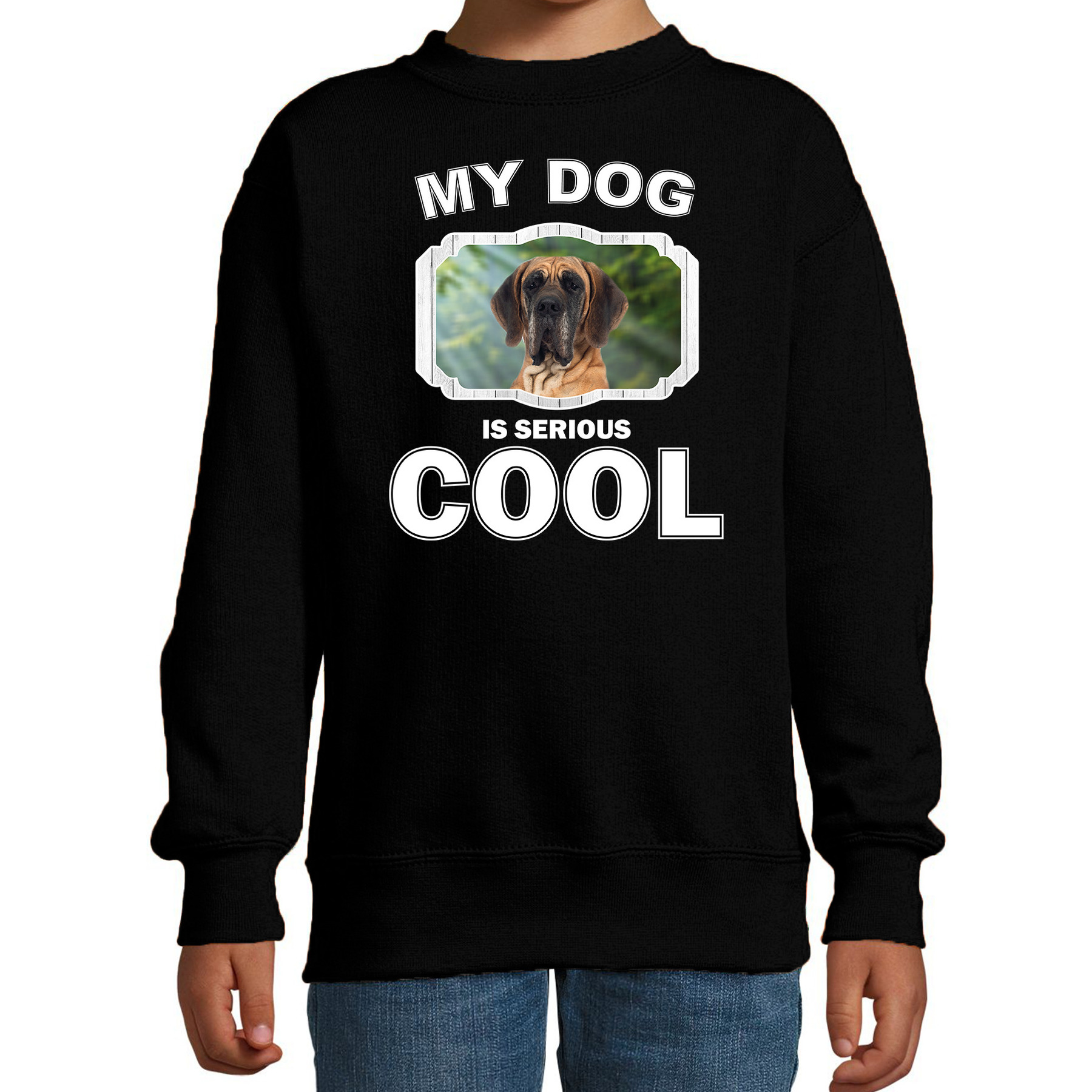 Deense dog honden trui-sweater my dog is serious cool zwart voor kinderen