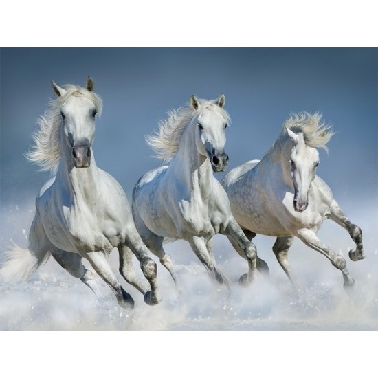 Dieren placemats witte paarden