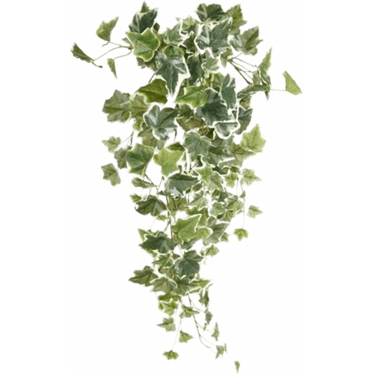 Emerald kunstplant-hangplant Klimop-hedera groen-wit 70 cm lang