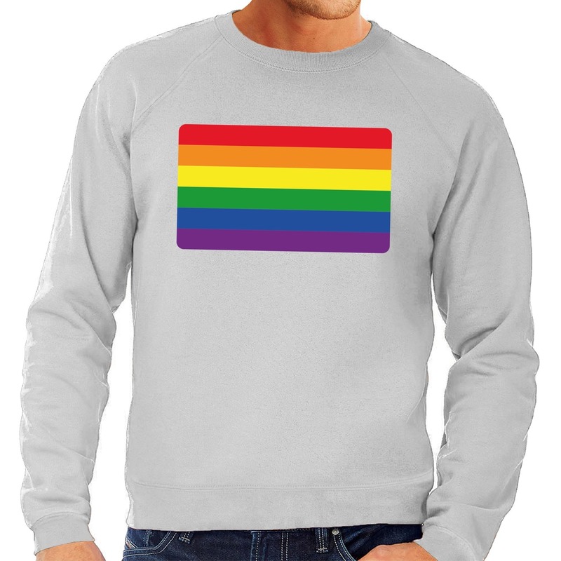 Gay pride regenboog vlag sweater grijs voor heren