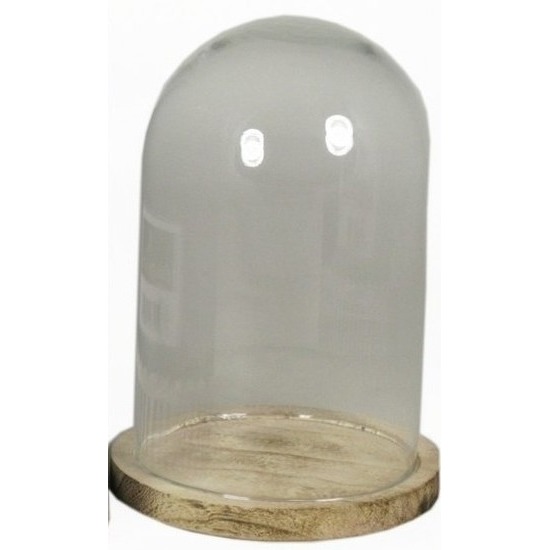 Glazen stolp met houten onderbord 22 cm