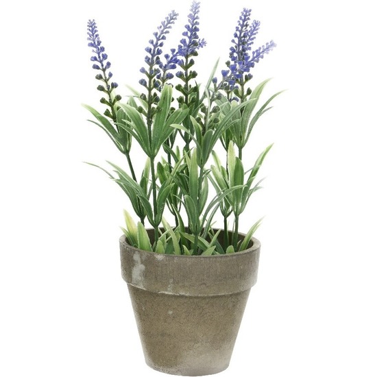 Groene-paarse Lavandula-lavendel kunstplant 25 cm in beton pot