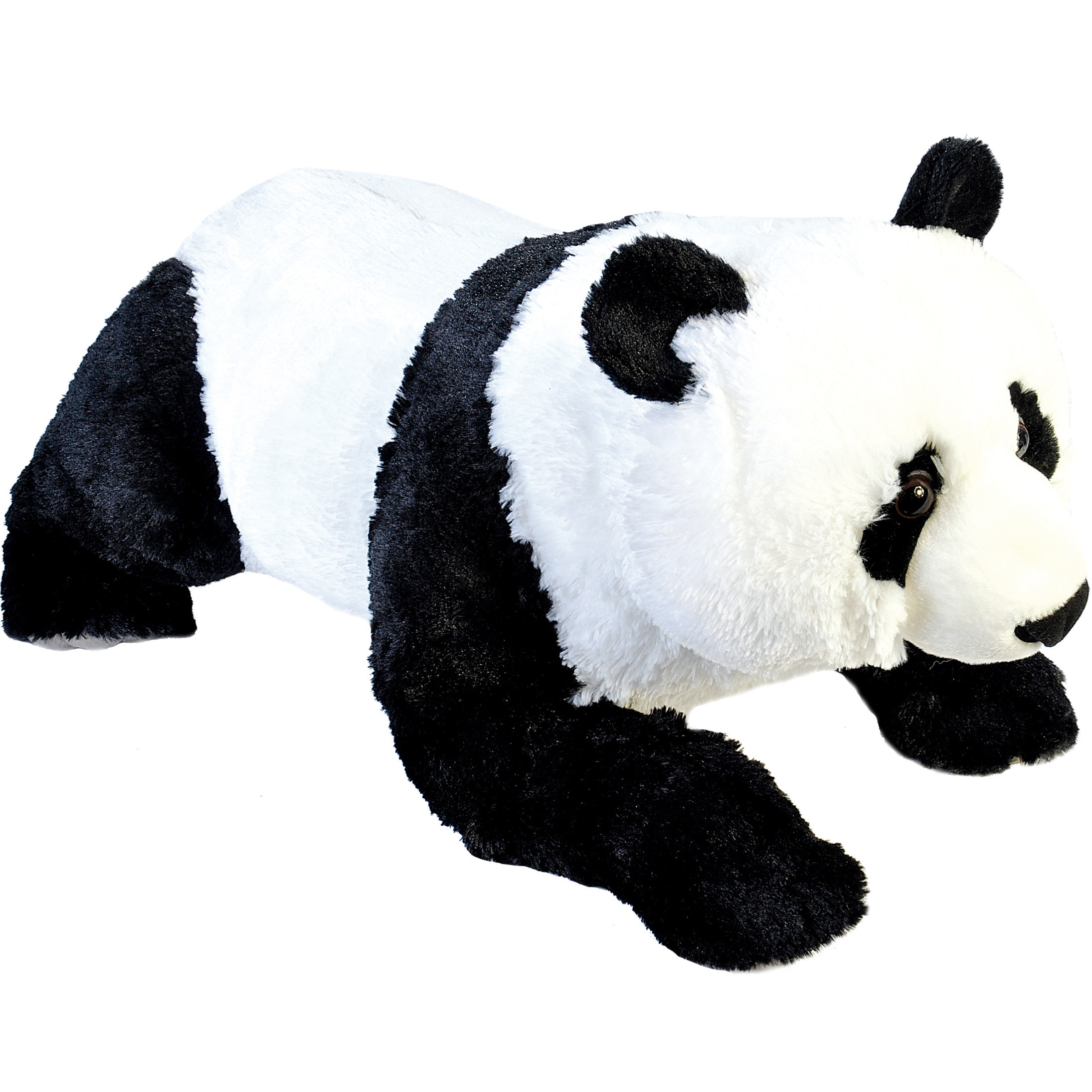 Grote panda knuffelbeer