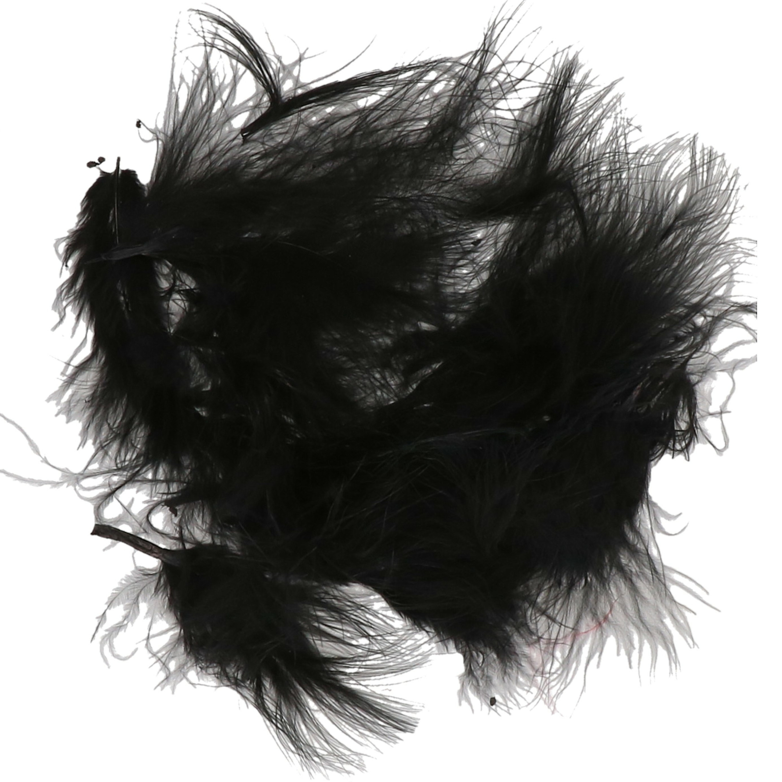 Hobby knutsel veren 20x zwart 7 cm sierveren decoratie
