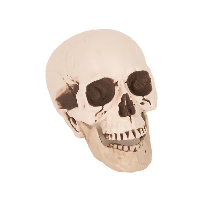 Horror decoratie schedel 21 cm