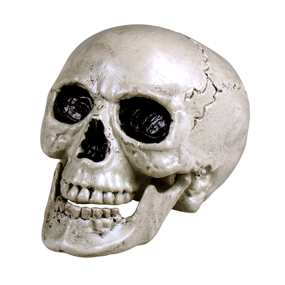 Horror decoratie schedel-doodskop met beweegbare kaak 20 x 15 cm