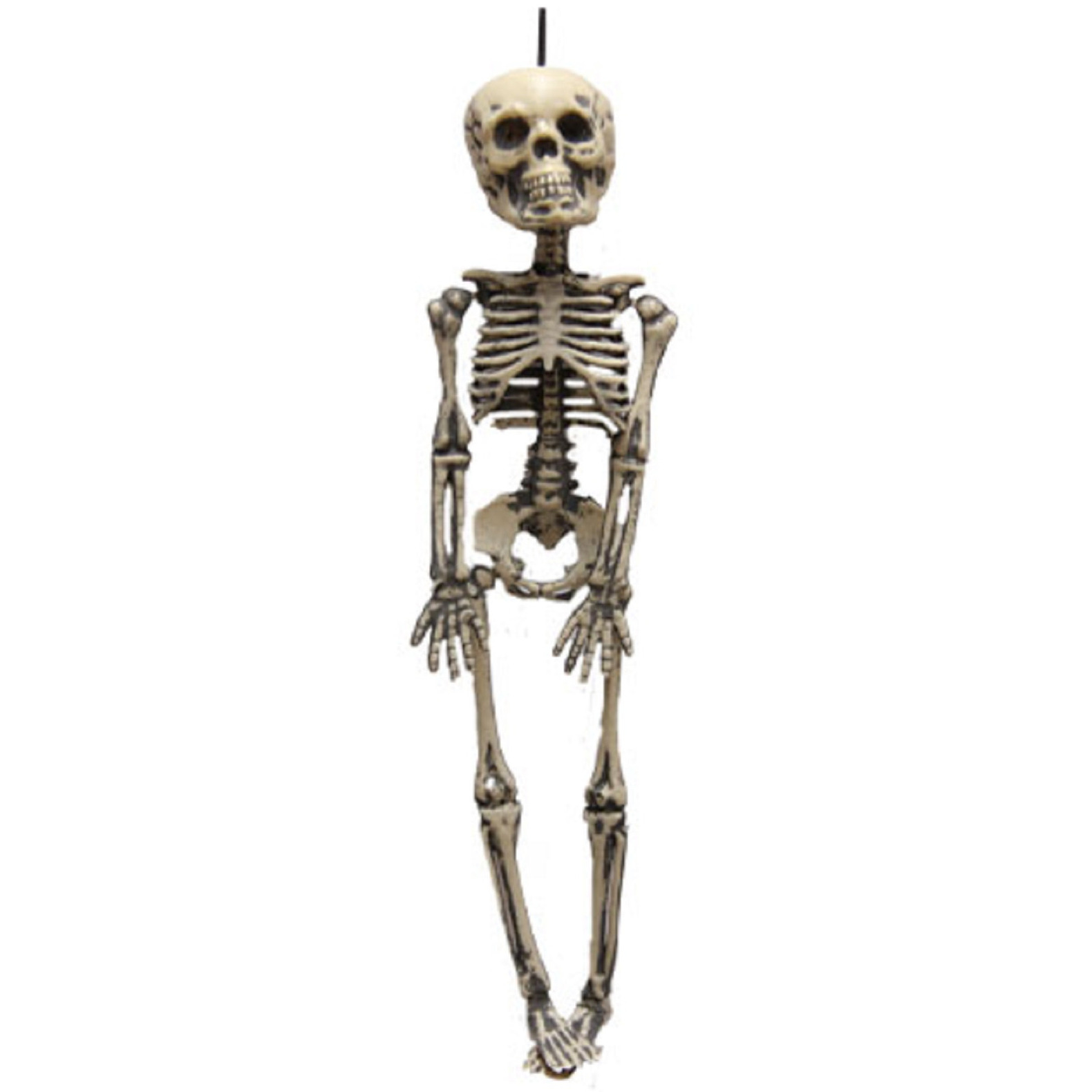 Horror-Halloween skelet-geraamte hangend 30 cm hangdecoratie
