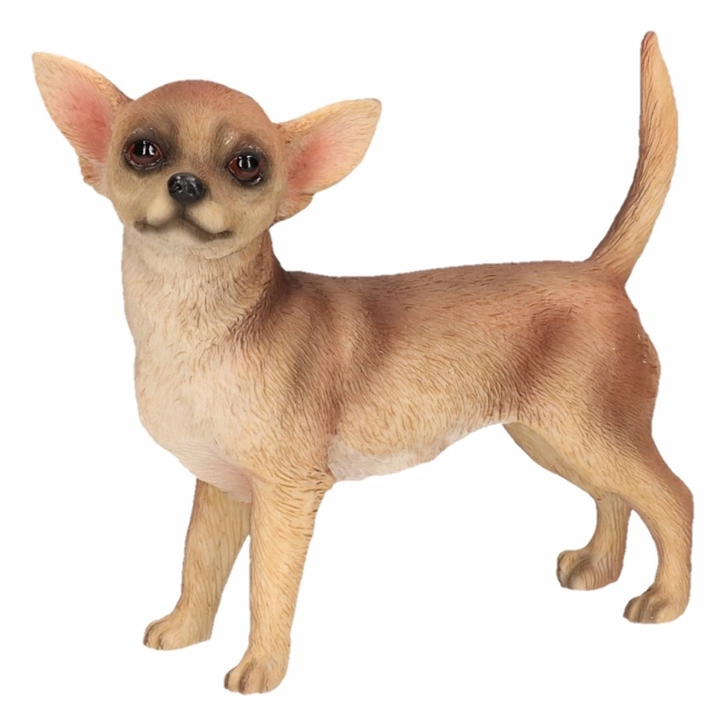 Kleine beeldje Chihuahua Bruin 10 cm