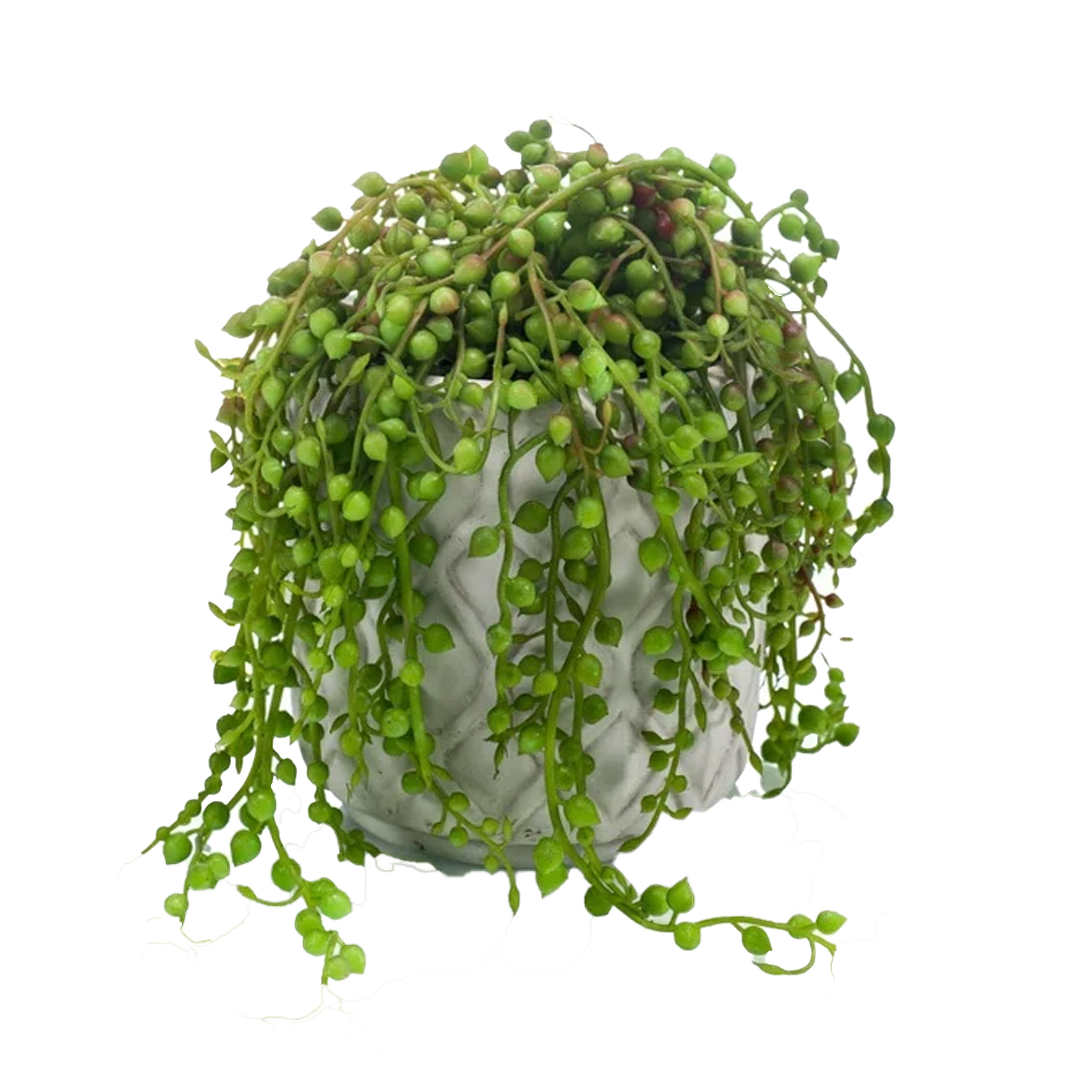 Kunstplant Senecio-erwtenplant groen in pot 27 cm hangplant