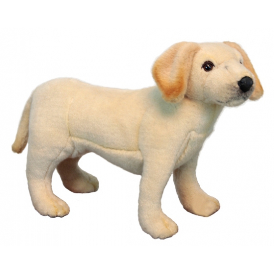 Levensechte pluche Labrador puppy 35 cm