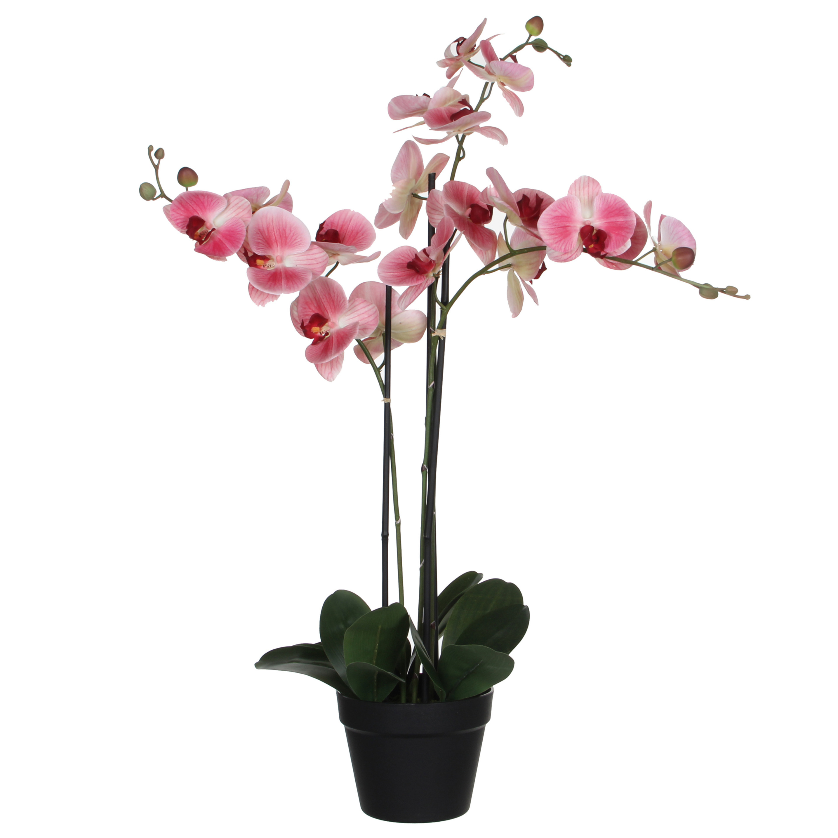 Mica Decorations Orchidee bloem kunstplant roze H75 x B50 cm