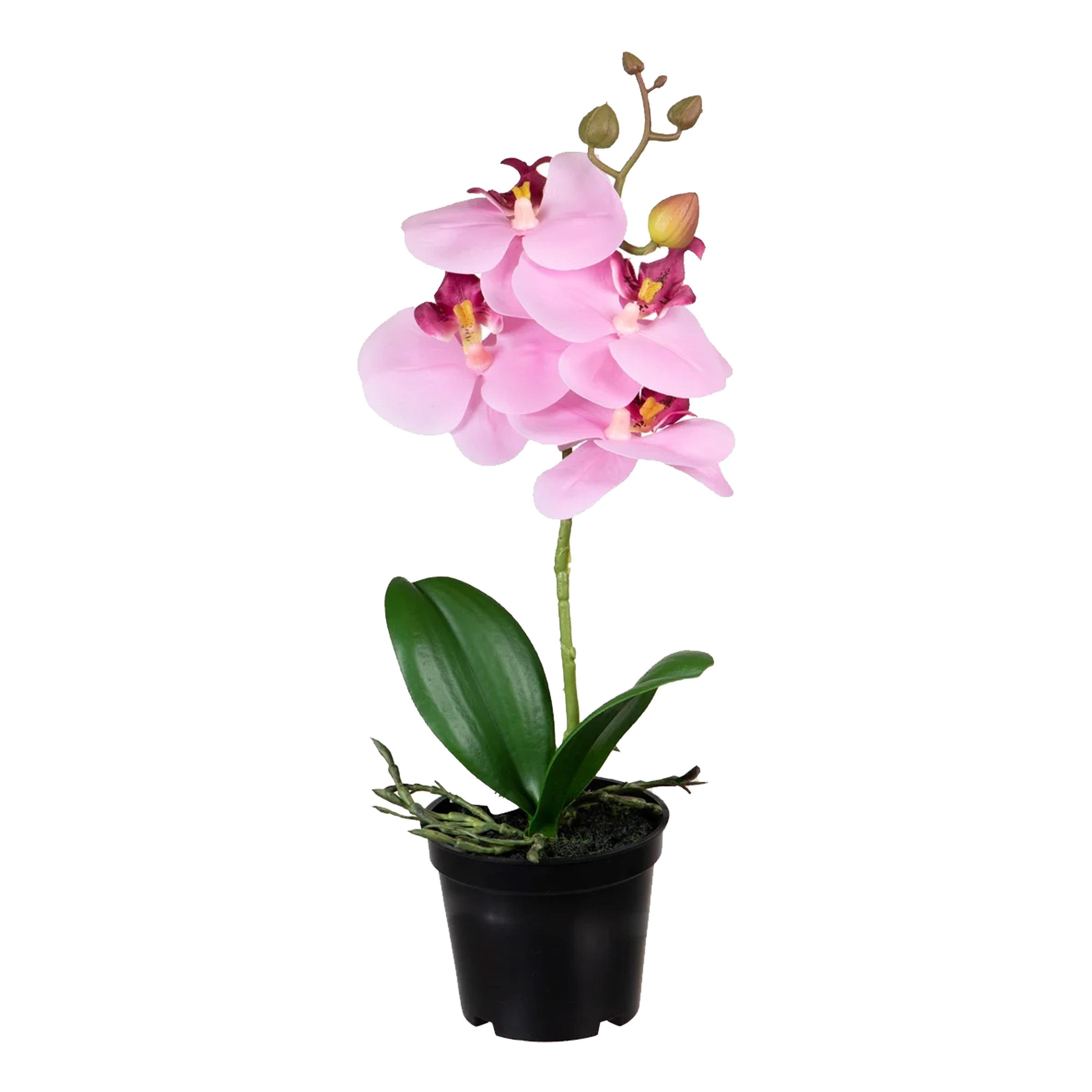 Orchidee bloemen kunstplant op plug bloemen-bloemetjes roze-groen H33 cm