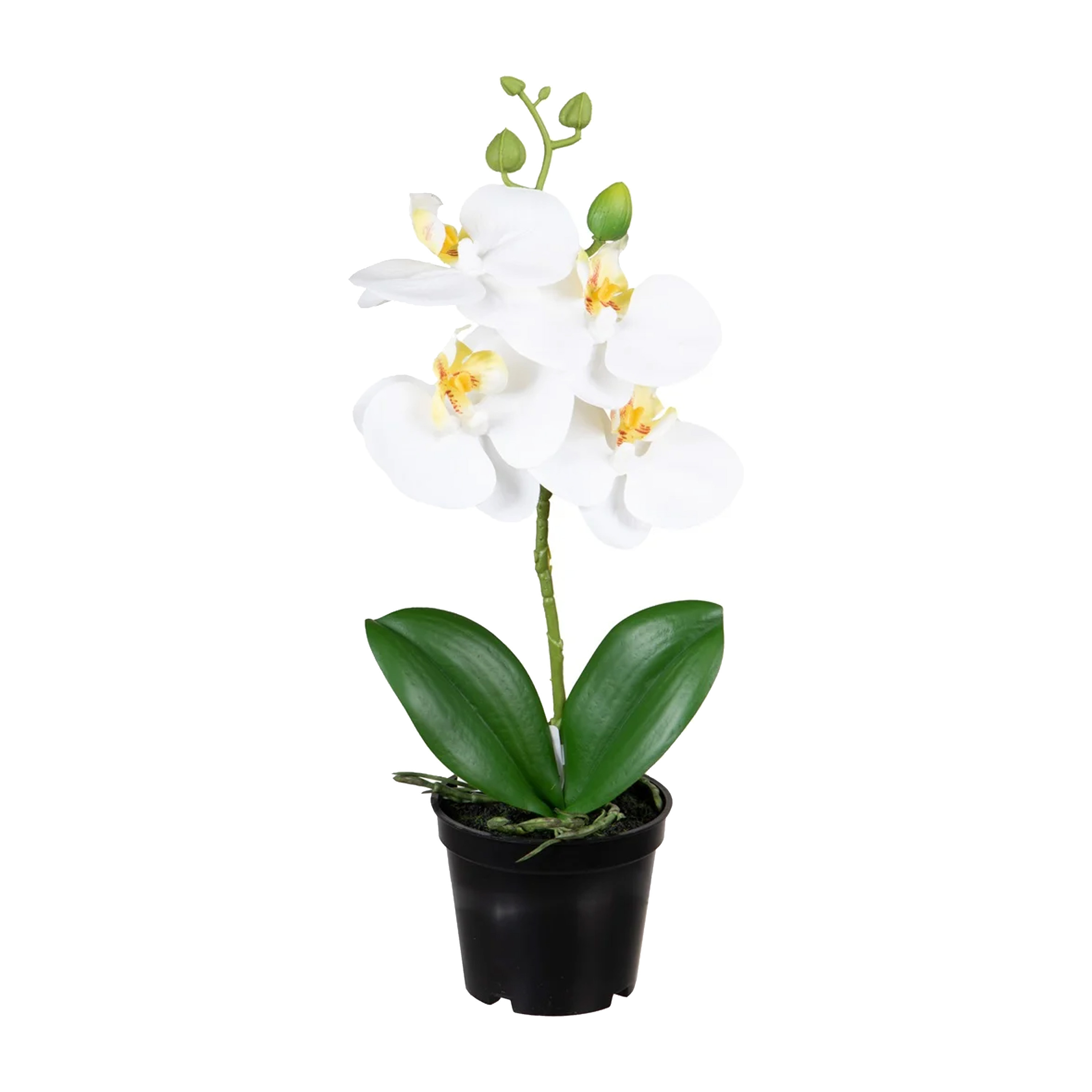 Orchidee bloemen kunstplant op plug bloemen-bloemetjes wit-groen H33 cm