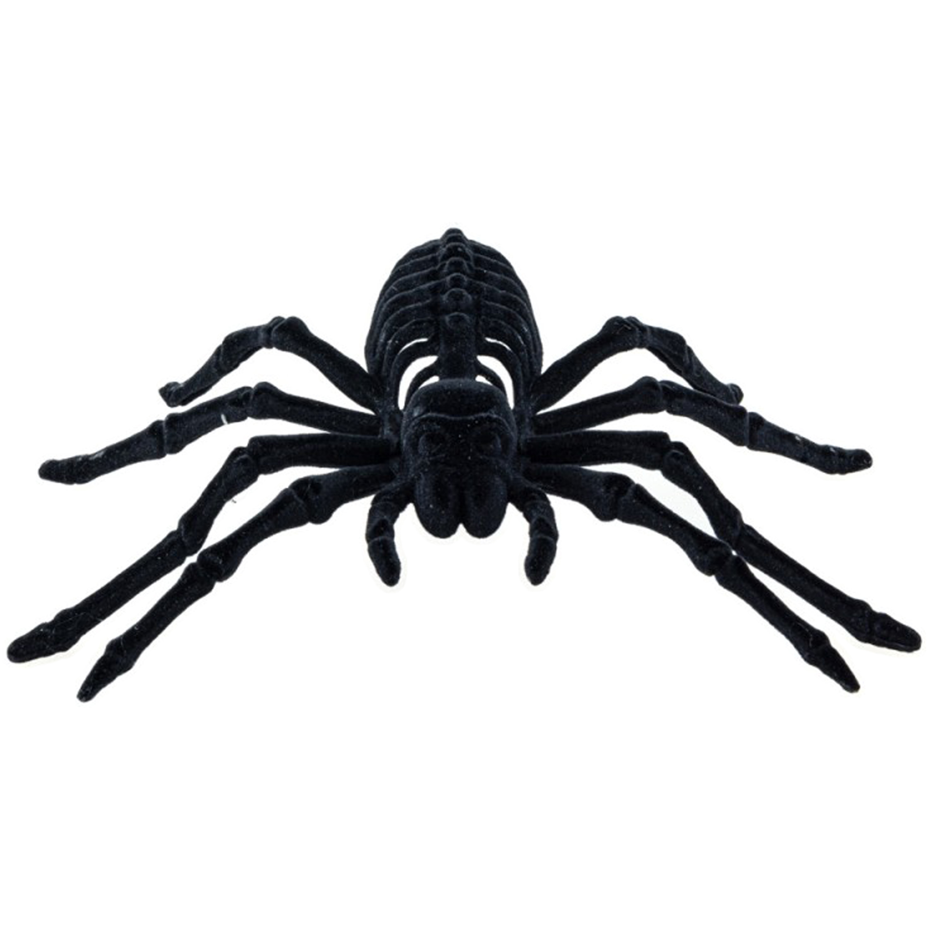 Spin skelet 22 cm zwart velvet-fluweel tarantula Horror-griezel thema decoratie beestjes