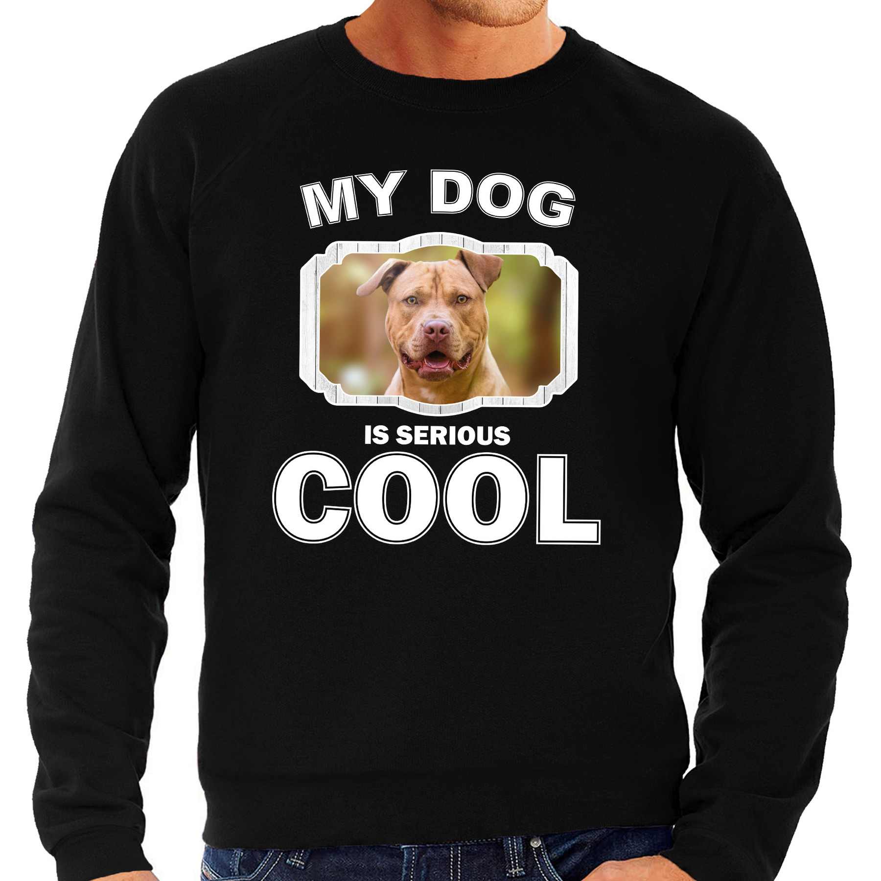 Staffordshire bull terrier honden sweater-trui my dog is serious cool zwart voor heren