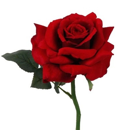 Valentijns kado nep rode roos 31 cm met donkerrode rozenblaadjes