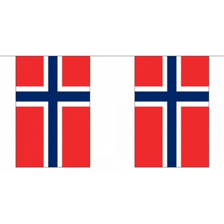 Noorwegen vlaggenlijn 9 m