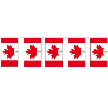 Papieren vlaggenlijnen Canada