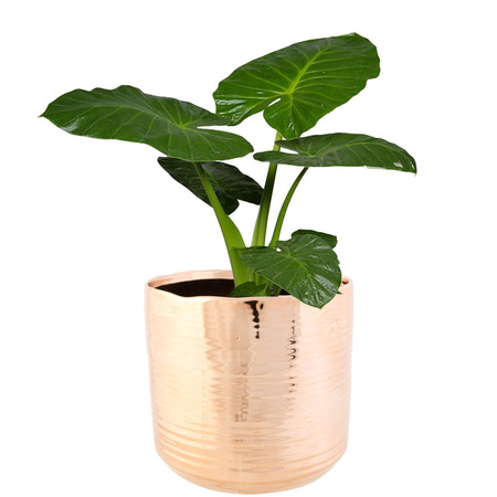 Plantenpot Cerchio - koperkleurig - keramiek - 16 cm