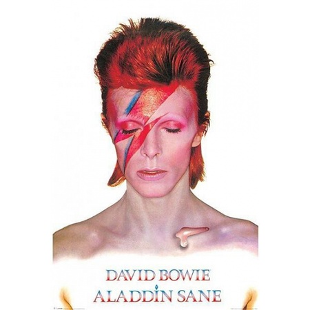 decoratie David Bowie Aladdin poster 61 x 91,5 Bandana | Alle kleuren Bandana`s
