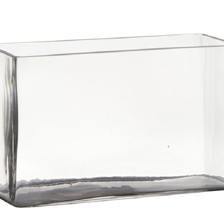 Transparante rechthoek accubak vaas/vazen van glas 25 x 10 x 15 cm