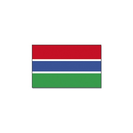 Landen thema vlag Gambia 90 x 150 cm feestversiering