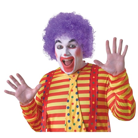 Budget clowns wig purple for adults